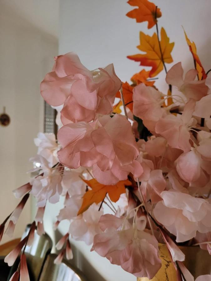 La Maison De Rose Turi Ngoại thất bức ảnh